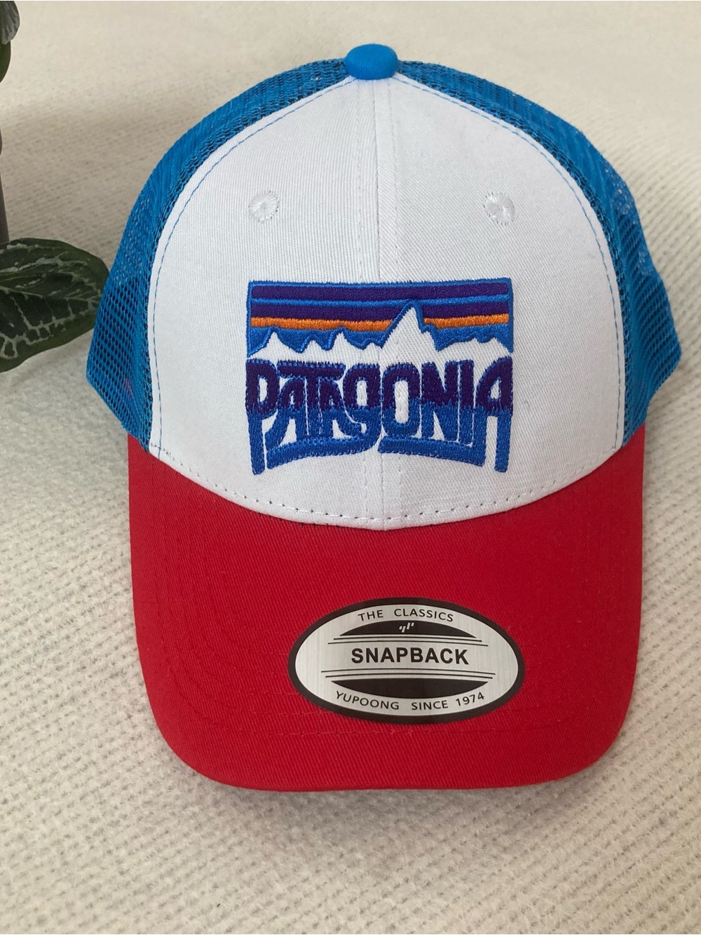 Patagonia Blue & White Mesh Trucker Hat